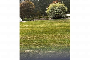 3303 Mabel Lake Road Unit# 2 - Photo 6