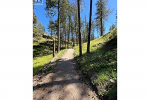 1960 Northern Flicker Court Unit# 9 - Photo 9