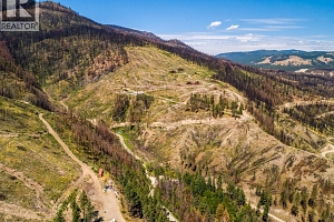 Lot B - 944 Bear Creek Road Lot# Proposed - Photo 11