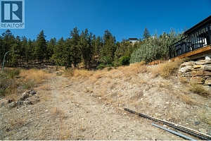 2649 Casa Palmero Drive - Photo 10