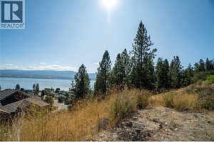 2649 Casa Palmero Drive - Photo 11