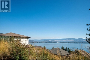 2649 Casa Palmero Drive - Photo 13