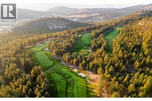 1767 Capistrano Peaks Crescent - Photo 49