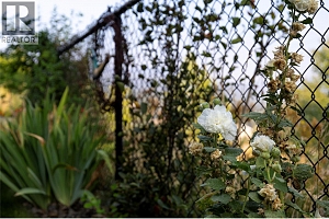 1404 Copper Mountain Court Unit# 33 - Photo 39