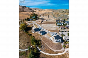 Painted Turtle Drive Lot# 1 - Photo 11