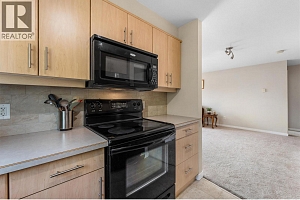 325 McIntosh Road Unit# 3109 - Photo 9