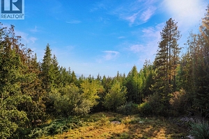 8130 Jackpine Road - Photo 45