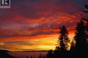 8130 Jackpine Road - Photo 47