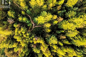 8130 Jackpine Road - Photo 49