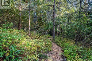 8130 Jackpine Road - Photo 51