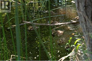 877 KLO Road Unit# 311 - Photo 17