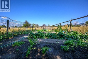 975 25 Avenue - Photo 41