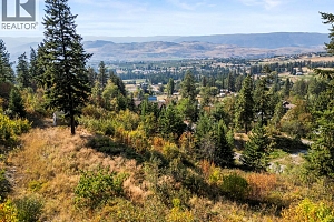 Remainder Lot 2 Kingsview Road - Photo 5