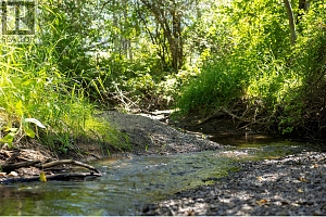 6984 Highway 6 - Photo 54