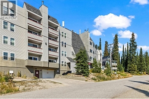 60 Wolverine Road Unit# 413 - Photo 55