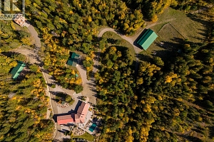 8100, 8104 Silver Star Road - Photo 7