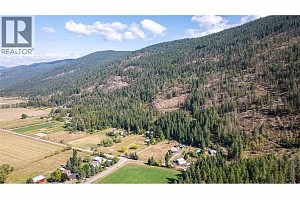 4596 Back Enderby Road - Photo 9