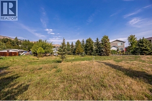 6638 Scott Road - Photo 5