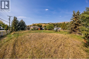 6638 Scott Road - Photo 8