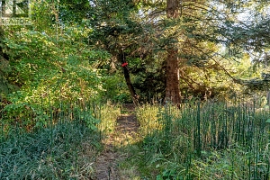 4495 Nottingham Road Lot# 2 - Photo 10