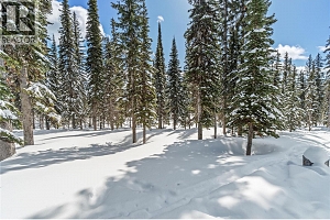 4 Black Forest Road Lot# 4 - Photo 11