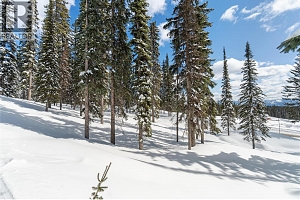 4 Black Forest Road Lot# 4 - Photo 15