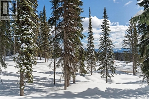 4 Black Forest Road Lot# 4 - Photo 16