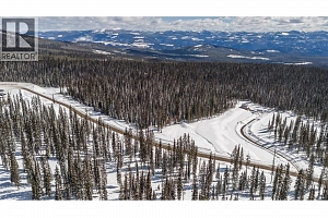 4 Black Forest Road Lot# 4 - Photo 2