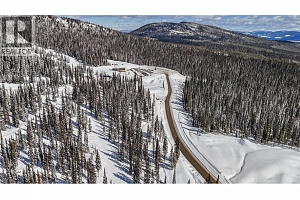 4 Black Forest Road Lot# 4 - Photo 3