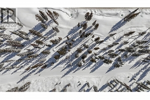 4 Black Forest Road Lot# 4 - Photo 8