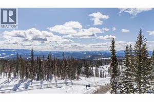 4 Black Forest Road Lot# 4 - Photo 9