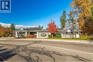 4157 Gallaghers Parkland Drive - Photo 50