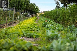 10108 Venables Drive - Photo 33