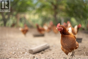 10108 Venables Drive - Photo 36