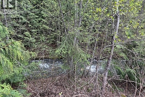 1440 Trinity Valley Road - Photo 42