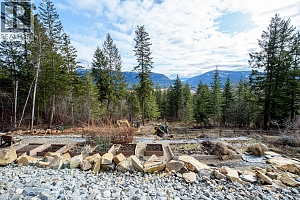 249 Twin Lakes Road - Photo 37