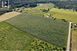 000 Hallam Road - Photo 10