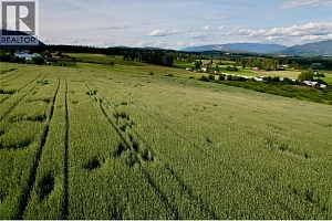 000 Hallam Road - Photo 12