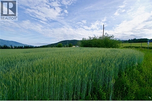 000 Hallam Road - Photo 26