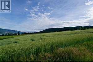 000 Hallam Road - Photo 30