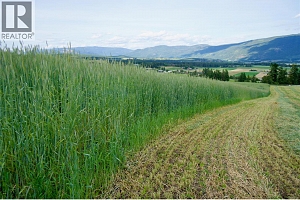 000 Hallam Road - Photo 5