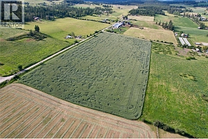 000 Hallam Road - Photo 9