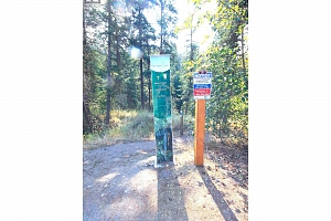 7053 Manning Place Unit# 5 - Photo 12