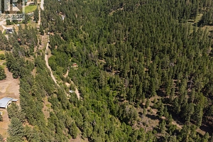 4359 Maxwell Road - Photo 9