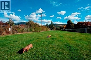 415 Commonwealth Road Unit# 522 - Photo 16