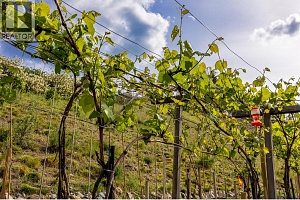 5661 Jasper Way - Photo 53