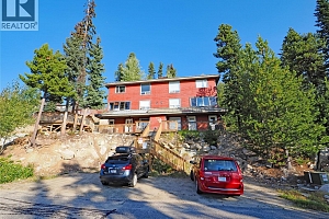 4890D Snowpines Road - Photo 17