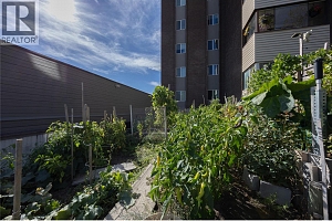 1915 Pacific Court Unit# 206 - Photo 18