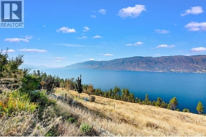 10386 Nighthawk Road - Photo 12