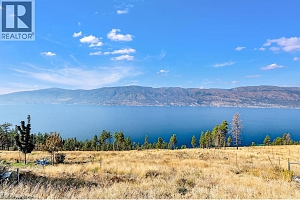 10386 Nighthawk Road - Photo 13